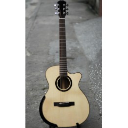  Guitar custom TT35 ( gỗ cẩm indo )